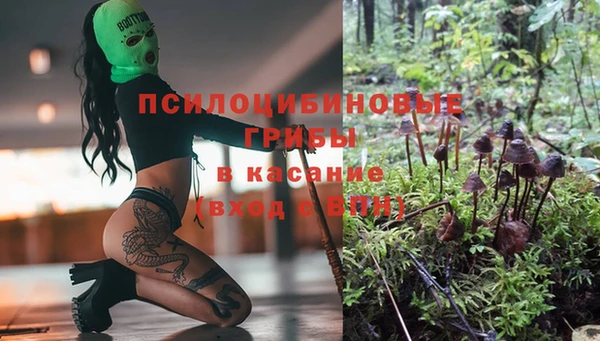 соль ск Алексин