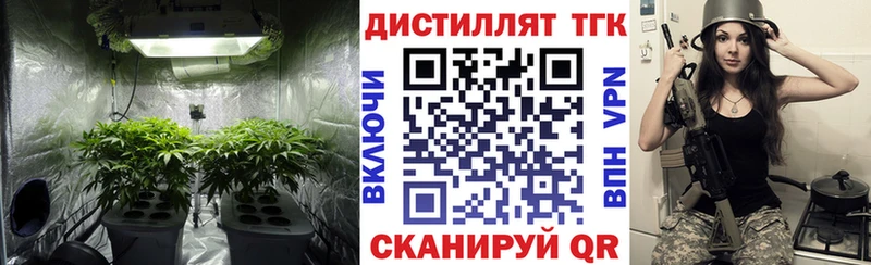 Купить  Приволжский  Дистиллят ТГК вейп с тгк 