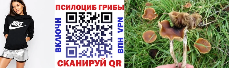 Купить закладки  Приволжский  Псилоцибиновые грибы мухоморы 